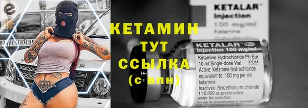 дмт Абаза