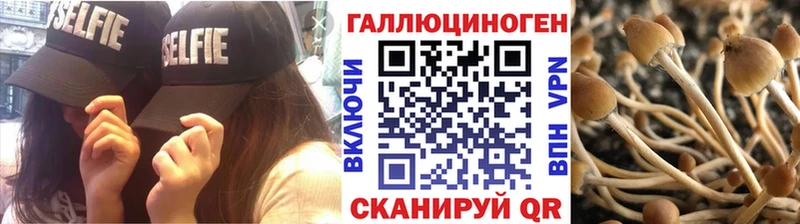 Псилоцибиновые грибы мухоморы  MEGA ссылки  Касимов 