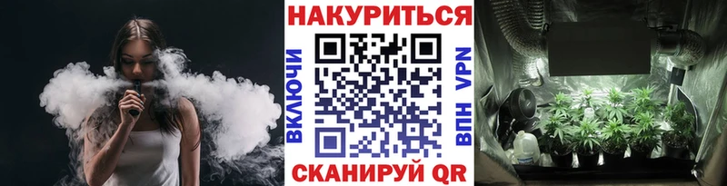 кракен   Касимов  Каннабис индика 